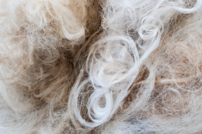 TECHNYL® 4EARTH® 机械回收聚酰胺